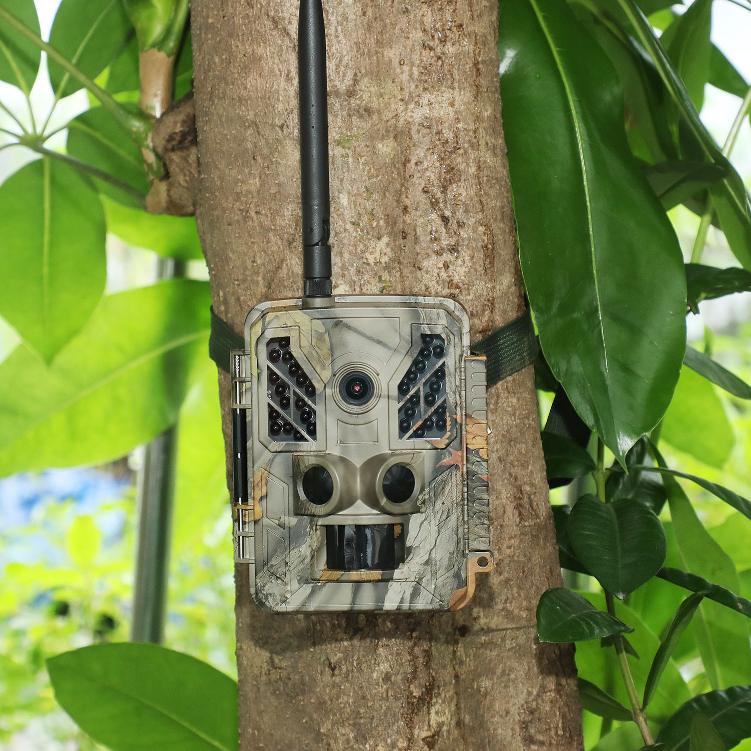  BST883W 32MP 4K WiFi Водонепроницаемая ИК-камера ночного видения на открытом воздухе для охотничьих троп 